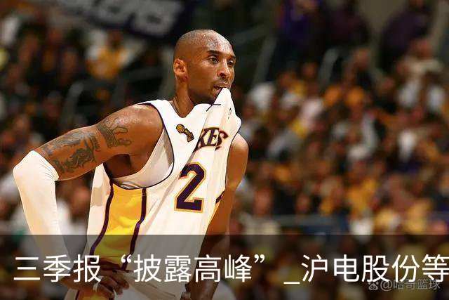 三季报“披露高峰” 沪电股份等深市大市值绩优股业绩集中兑现