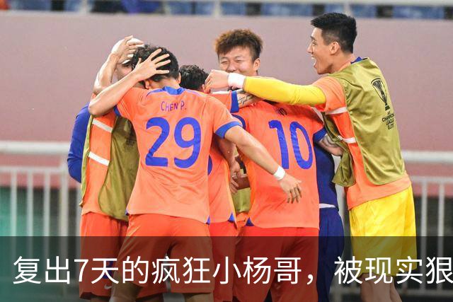 复出7天的疯狂小杨哥，被现实狠狠打了一巴掌