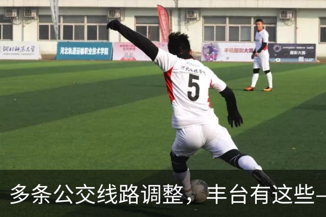 多条公交线路调整，丰台有这些——