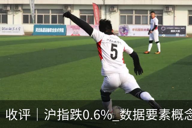 收评｜沪指跌0.6% 数据要素概念走强