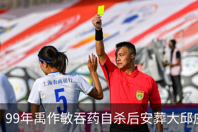 99年禹作敏吞药自杀后安葬大邱庄祖坟，坟前冷清无人祭拜！